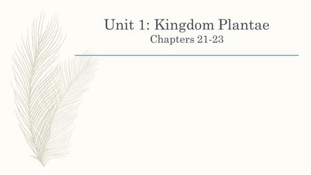 Unit 1: Kingdom Plantae Chapters 21-23. Date What are the characteristics of Plants ▪All plants are photosynthetic. ▪All plants are multicellular. ▪All.