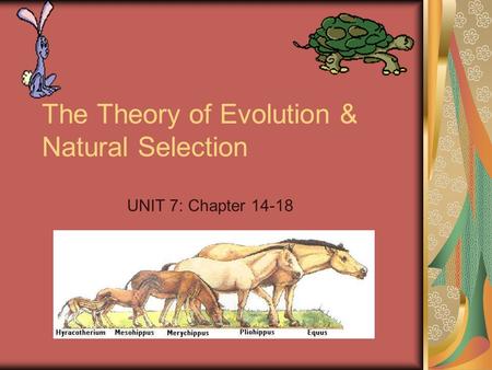 The Theory of Evolution & Natural Selection UNIT 7: Chapter 14-18.