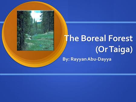 The Boreal Forest (Or Taiga) By: Rayyan Abu-Dayya.