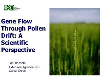 Gene Flow Through Pollen Drift: A Scientific Perspective Joel Ransom Extension Agronomist – Cereal Crops.