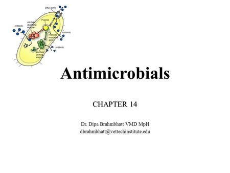 Antimicrobials CHAPTER 14 Dr. Dipa Brahmbhatt VMD MpH