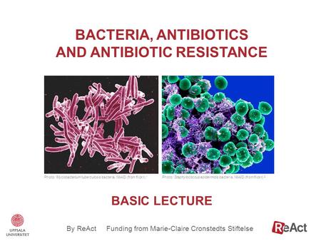 BACTERIA, ANTIBIOTICS AND ANTIBIOTIC RESISTANCE Photo: Mycobacterium tuberculosis bacteria, NIAID (from flickr). 1 Photo: Staphylococcus epidermidis bacteria,