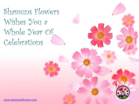 Shamuns Flowers Wishes You a Whole Year Of Celebrations www.shamunsflowers.com.