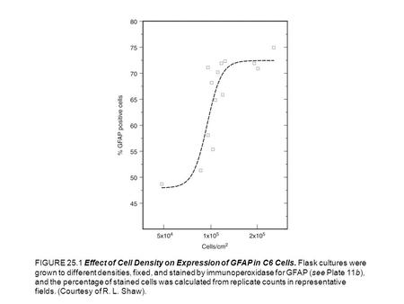 FIGURE 25.1 Effect of Cell Density on Expression of GFAP in C6 Cells. Flask cultures were grown to different densities, fixed, and stained by immunoperoxidase.