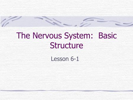 The Nervous System: Basic Structure Lesson 6-1. Objectives: Identify Parts of the Nervous System Describe the functions of the Nervous System.