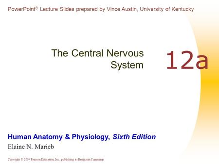 Copyright © 2004 Pearson Education, Inc., publishing as Benjamin Cummings Human Anatomy & Physiology, Sixth Edition Elaine N. Marieb PowerPoint ® Lecture.