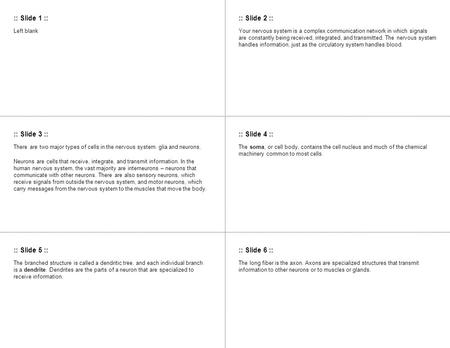 :: Slide 1 :::: Slide 2 :: :: Slide 3 :::: Slide 4 :: :: Slide 5 :::: Slide 6 :: Left blankYour nervous system is a complex communication network in which.