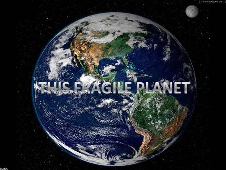 Contents 1. Vocabulary 2. Preface 3. Ecological problems 4. About environmental problems 5. Solutions of ecological problems 6. Interesting facts about.