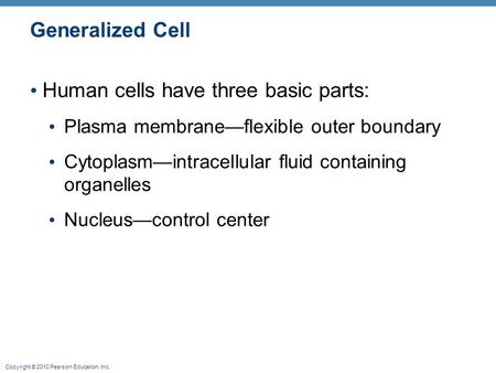 Copyright © 2010 Pearson Education, Inc. Generalized Cell Human cells have three basic parts: Plasma membrane—flexible outer boundary Cytoplasm—intracellular.