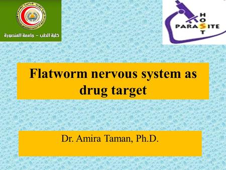 Flatworm nervous system as drug target Dr. Amira Taman, Ph.D. 1.