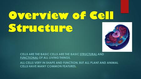 Overview of Cell Structure CELLS ARE THE BASIC CELLS ARE THE BASIC STRUCTURAL AND FUNCTIONAL OF ALL LIVING THINGS. ALL CELLS VERY IN SHAPE AND FUNCTION,