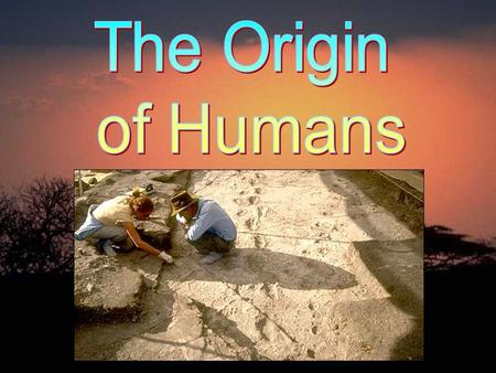 Theories on prehistory and early man constantly change as new evidence comes to light. - Louis Leakey, British paleoanthropologist.