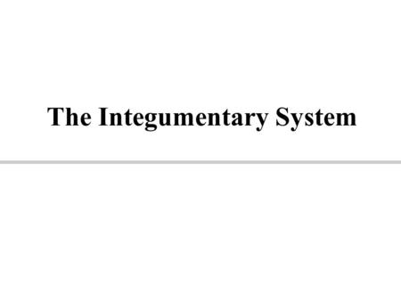 The Integumentary System. Learning Objectives List the components of the integumentary system, including their physical relationships. Specify the functions.