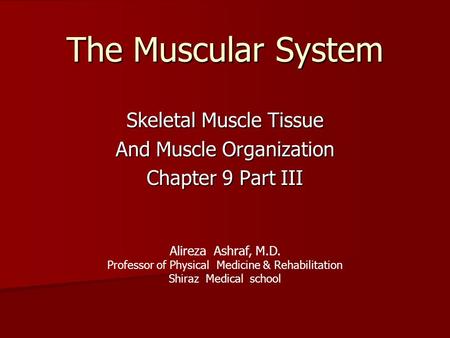 The Muscular System Skeletal Muscle Tissue And Muscle Organization Chapter 9 Part III Alireza Ashraf, M.D. Professor of Physical Medicine & Rehabilitation.