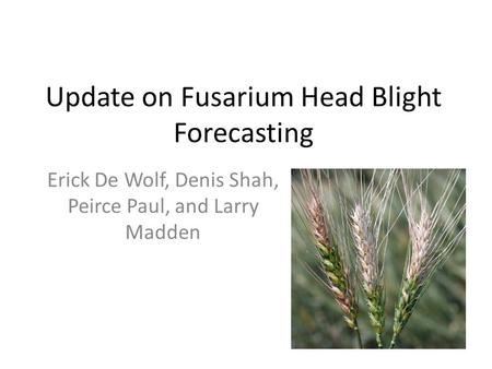 Update on Fusarium Head Blight Forecasting Erick De Wolf, Denis Shah, Peirce Paul, and Larry Madden.