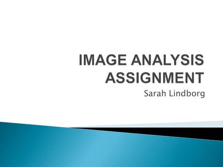 Sarah Lindborg.  What is Salient? Bright colors, variety of junk foods are present  Who/What is represented in this text?  Cereal, soda, pop tarts,