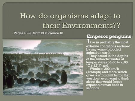 How do organisms adapt to their Environments??