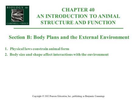 CHAPTER 40 AN INTRODUCTION TO ANIMAL STRUCTURE AND FUNCTION Copyright © 2002 Pearson Education, Inc., publishing as Benjamin Cummings Section B: Body Plans.