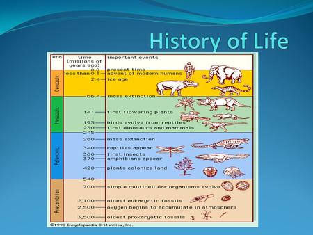 Key Terms Biogenesis: All living things come from other living things Makes sense to us, but prior to the 17th century they had other ideas Spontaneous.