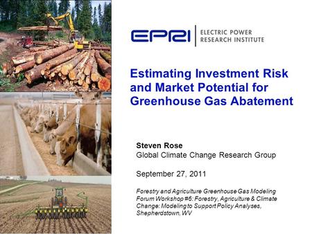 Estimating Investment Risk and Market Potential for Greenhouse Gas Abatement Steven Rose Global Climate Change Research Group September 27, 2011 Forestry.