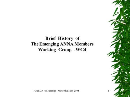 AMEDA 7th Meeting - Mauritius May 20081 Brief History of The Emerging ANNA Members Working Group -WG4.