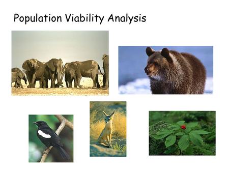 Population Viability Analysis. Critically Endangered Threatened Endangered Criterion Reduction in population size 10 yrs 3 generations >80% >50% >30%