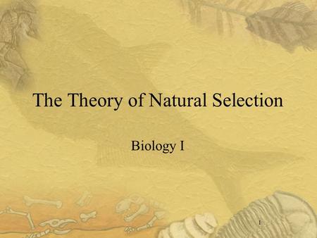 1 The Theory of Natural Selection Biology I. 2 I. Early Biology Scientists knew that organisms had changed Fossil evidence Age of the Earth.