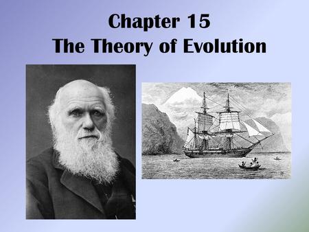 Chapter 15 The Theory of Evolution. Objectives 15.1 SUMMARIZE Darwin’s theory of natural selection. EXPLAIN how the structural and physiological adaptations.