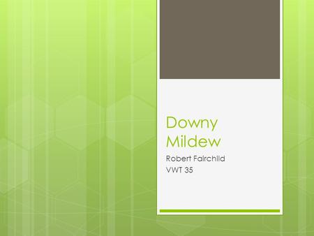 Downy Mildew Robert Fairchild VWT 35. Introduction Serious grape pest since mid-1800s. Prevalent in warm areas with early spring rains/high humidity Economic.