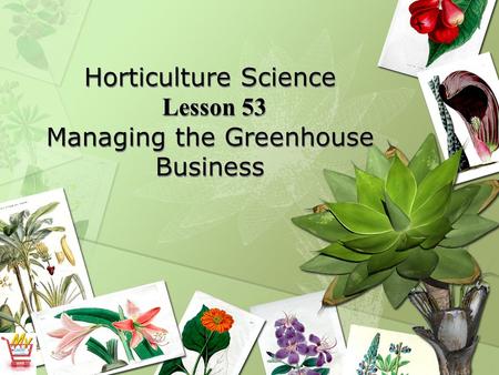 Horticulture Science Lesson 53 Managing the Greenhouse Business.