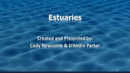 Located near the shores of any of the oceans. Partially enclosed body of water where freshwater meets salt water. These estuaries are influenced by the.