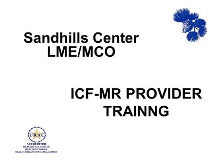 ICF-MR PROVIDER TRAINNG Sandhills Center LME/MCO.