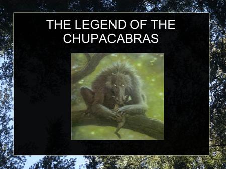 THE LEGEND OF THE CHUPACABRAS. WHAT IS THE CHUPACABRAS? The Chupacabras, in South American legends, is a horrible monster that kills the cattle. The legend.