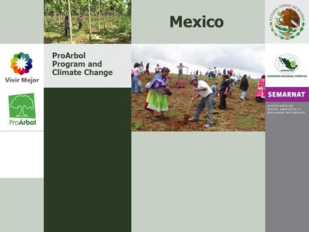 ProArbol Program and Climate Change Mexico. CONTENT Presentation Categories and Impact areas Stages of ProArbol Budget 2007 Main Goals 2007 ProArbol and.