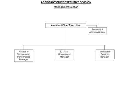 Assistant Chief Executive Secretary & Admin Assistant Exchequer Services Manager – ICT & E- Government Manager Access to Services and Performance Manager.