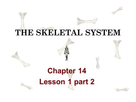 THE SKELETAL SYSTEM Chapter 14 Lesson 1 part 2 joint a connection between two or more bones or between cartilage and bone Joints provide flexibility.