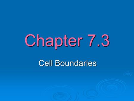 Chapter 7.3 Cell Boundaries. Passive Transport  The movement of a substance across a cell membrane without the use of energy is called passive transport.