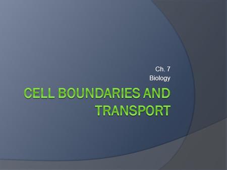 Cell Boundaries and transport