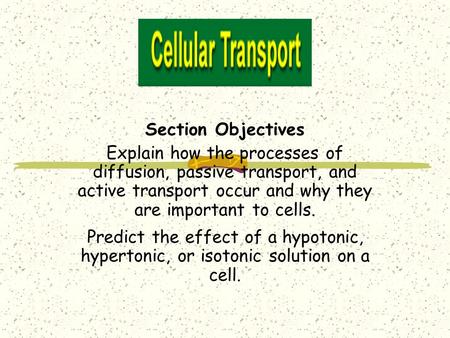 Section Objectives Explain how the processes of diffusion, passive transport, and active transport occur and why they are important to cells. Predict the.