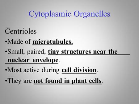 Cytoplasmic Organelles Centrioles Made of microtubules. Small, paired, tiny structures near the nuclear envelope. Most active during cell division. They.