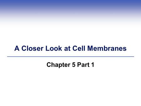 A Closer Look at Cell Membranes