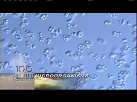 Microorganisms. Cell Membrane - aka “Plasma Membrane” and “Fluid Mosaic Membrane” -All cells have cell membranes -Functions: a.Controls what enters and.