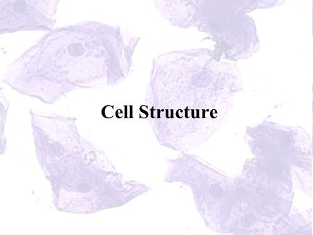 Cell Structure. Microscopes Light Uses a beam of light Can magnify up to 2000x Can observe living specimens Electron Uses a beam of electrons Can magnify.