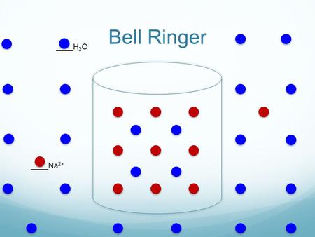 Bell Ringer ____H 2 O ____Na 2+. Cell Membrane Fluid Mosaic Model Cell membrane is thought to be both fluid and a mosaic of phospholipids, proteins and.