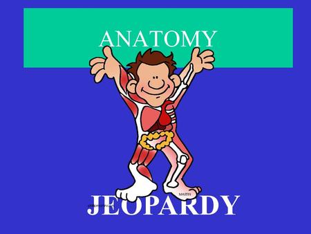 ANATOMY JEOPARDY ScientistsBacteriaVirusImmunology Cell Division 100 200 300 400 500.