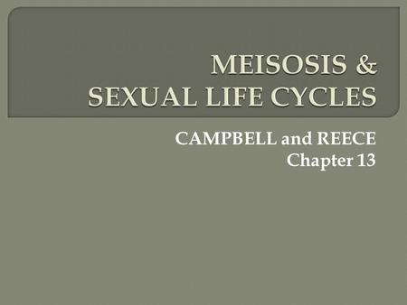 CAMPBELL and REECE Chapter 13.  Heredity: transmission of traits from 1 generation to the next  Variation: differences between members of same species.