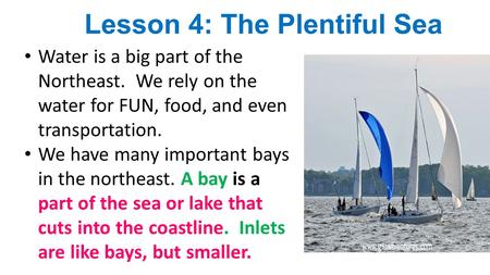 Lesson 4: The Plentiful Sea