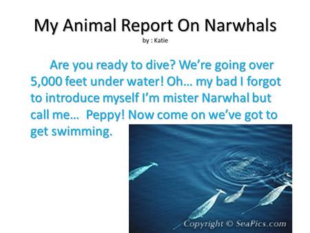 My Animal Report On Narwhals by : Katie Are you ready to dive? We’re going over 5,000 feet under water! Oh… my bad I forgot to introduce myself I’m mister.