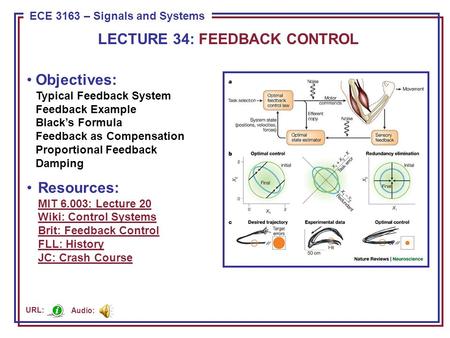 A Typical Feedback System