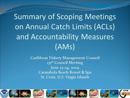 Summary of Scoping Meetings on Annual Catch Limits (ACLs) and Accountability Measures (AMs) Caribbean Fishery Management Council 131 st Council Meeting.